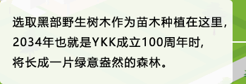 选取黑部野生树木作为苗木种植在这里，2034年也就是YKK成立100周年时，将长成一片绿意盎然的森林。
