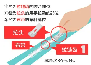 ①名为拉链齿的咬合部位 ②名为拉头的用手拉动的部位③名为布带的布料部位 就是这3个部分。