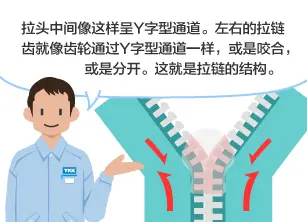 拉头中间像这样呈Y字型通道。左右的拉链齿就像齿轮通过Y字型通道一样，或是咬合，或是分开。这就是拉链的结构。