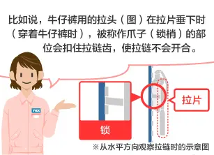 比如说，牛仔裤用的拉头(图)在拉片垂下时(穿着牛仔裤时)，被称作爪子(锁梢)的部位会扣住拉链齿，使拉链不会开合。 ※从水平方向观察拉链时的示意图