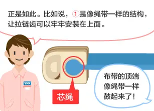 YKK员工：正是如此。比如说，①是像绳带一样的结构，让拉链齿可以牢牢安装在上面。 学生：布带的顶端像绳带一样鼓起来了！