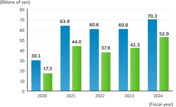 Ordinary income / Net income