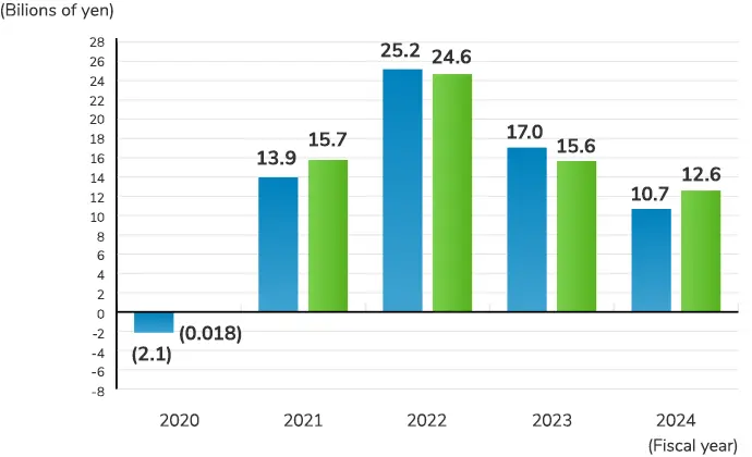 Ordinary income / Net income